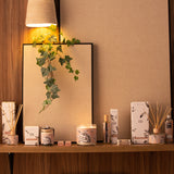 Ambientador spray Mis Momentos en ambiente hogar | Decoragloba