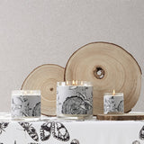 Vela aromática Junto a la Hoguera 220 gr - vista | Decoragloba