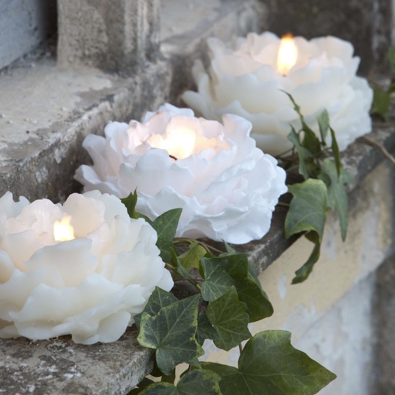 Vela Flor Peonia Blanca